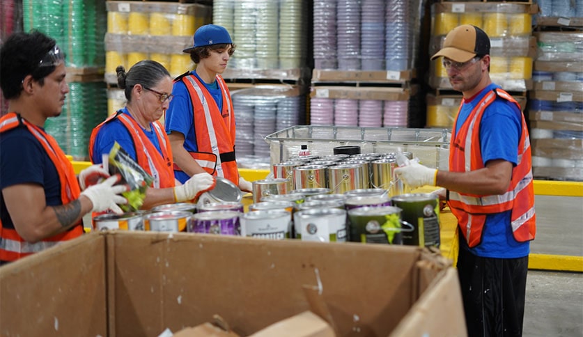 FACTORY PACKED SPRAY PAINT